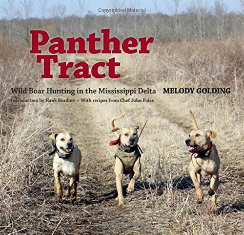 panther tract wild boar hunting in the mississippi delta