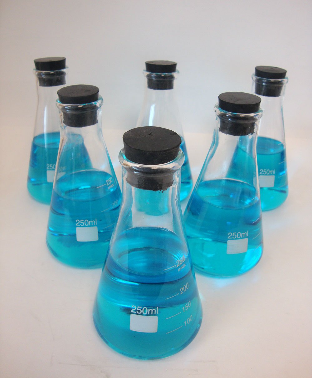 Laboratory Glassware Erlenmeyer Flask 6 Pcs Set Science Chemistry