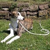 Eigenschaften Deluxe GmbH  / Anlegepflock für Hunde 40cm lang