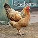 Chickens Calendar - 2016 Wall calendars - Animal Calendar - Monthly Wall Calendar by Avonside