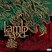 Lamb of God - Now You've Got Something to Die for