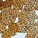20mm Sequins Top Hole Copper Hologram Glitter Sparkle. Couture Paillettes. Made in USA