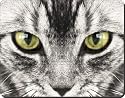 SILVER TABBY CAT'S FACE Mouse Mat