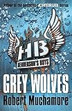 Henderson's Boys 4: Grey Wolves