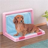 �A�C���X�I�[���} �܂肽���݌��g�C��IT-500������s���N