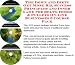 The Down and Dirty Get More Biz, Success Principles and Inner Game for Belts, Hoses &...