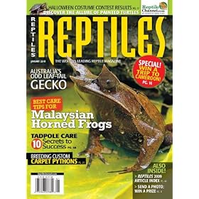 Reptiles (1-year)