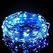 Excelvan Safe Low Voltage 10m/33ft 100 LED String Lights Copper Wire, USB Operated Waterproof Decorative Fairy Starry Lights for Christmas, Wedding, Home, Patio, Garden and Party, Holiday, Blue