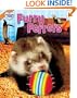 Furry Ferrets (Peculiar Pets)