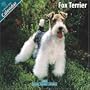 Fox Terrier 2010 Wall Calendar #10037-10