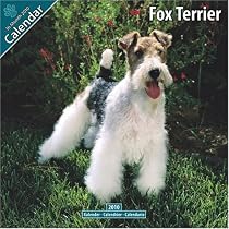 Fox Terrier 2010 Wall Calendar #10037-10