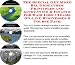 The Special Get More Biz, Godfather Principles and Accounting & Finance for Hair Loss Creams On-line Businesses 3 Course Pack