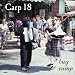 The Carps-bug rump