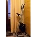 Most Popular Exercise Bikes
