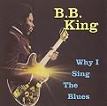 Why I Sing the Blues (Universal Special Products) (Greatest Hits)