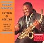 Rhythm of Healing: Supreme Sax and Penny Whistle Township Jive