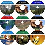 The Exhaustive 9 Hour No Money Down, Income Producing Real Estate Mentoring System