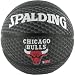 Suchen : spalding bulls teamball