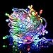 Flashmen® 100 Led 10m Christmas Wedding Fairy String Lights with 8 Function Controller (1. Multi Color)