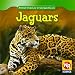 Jaguars (Animals That Live in the Rain Forest) 61fkuXSPrfL. SL75 Latest Jaguar Cars EBAY Auctions