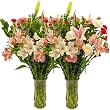 Mothers Day Flowers - Free Fast Shipping - Fresh Cut Flowers from California - 50 Stems