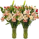 Mothers Day Flowers - Free Fast Shipping - Fresh Cut Flowers from California - 50 Stems