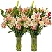 Mothers Day Flowers - Free Fast Shipping - Fresh Cut Flowers from California - 50 Stems