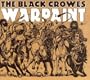 Warpaint