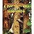 A Rainforest Habitat (Paperback) (Introducing Habitats)