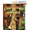 A Rainforest Habitat (Introducing Habitats)