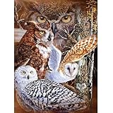 11 Owls Super Soft Plush Queen Size Blanket by Gardner