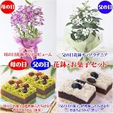 ���̓��E���̓��M�t�g���̓��E���̓��@�Ԕ����َq�Z�b�g�y���͂���5��7���`10���z