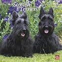 Scottish Terriers 2010 Wall