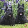 Scottish Terriers 2010 Wall
