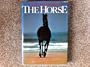 Encyclopedia Of The Horse