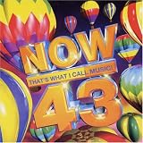 Now That's What I Call Music 43 (South Africa Series)
