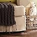 SOFTTOUCH 4713695N Heavy Duty 3 Inch Felt Furniture Pads to Protect Hardwood Floors from Scratches, Linen, 4 Count