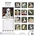 Dalmatian Puppies Calendar - Breed Specific Dalmatian Puppies Calendar - 2016 Wall calendars - Dog Calendars - Monthly Wall Calendar by Avonside
