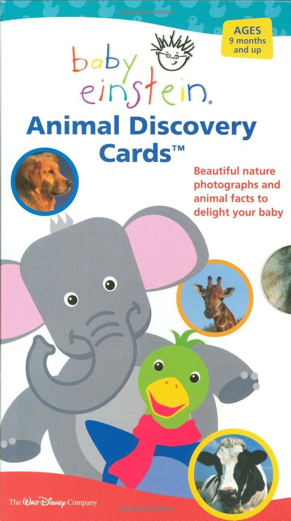 Baby Einstein: Animal Discovery Cards : Beautiful Nature ...