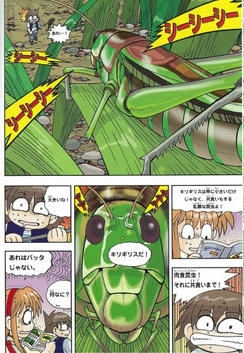 Cover image : 昆虫世界のサバイバル (かがくるBOOK 科学漫画サバイバルシリーズ)
