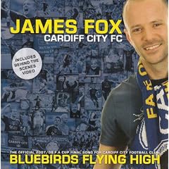 Bluebirds Flying High