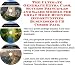 The Ultimate Generate Extra Cash, Success Principles and Sales Models for Great Home Business Opportunities Businesses 3 CD Combo Pack