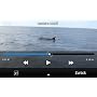 Samsung Wave S8500 Smartphone (1 Ghz, 2GB interner&hellip von Samsung