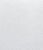 Deckenpaneele aus Holz und Kunststoff verlegen, montieren und streichen