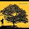 Instant favorites -- music