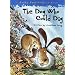 Favourite books for a 4 year old!