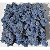 Reindeer Moss, Preserved - Lavender Blue, 20-Ounce (1.25 Pounds) in a Designer Series Clear Case. (Reico Art 108085 - Soft and Colored Reindeer Moss)