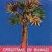 Christmas In Hawaii