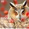 TOP WILDLIFE AND NATURE PHOTOGRAPHY BOOKS