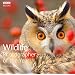Wildlife Photographer of the Year: Portfolio 17 (Wildlife Photographer of the Year)